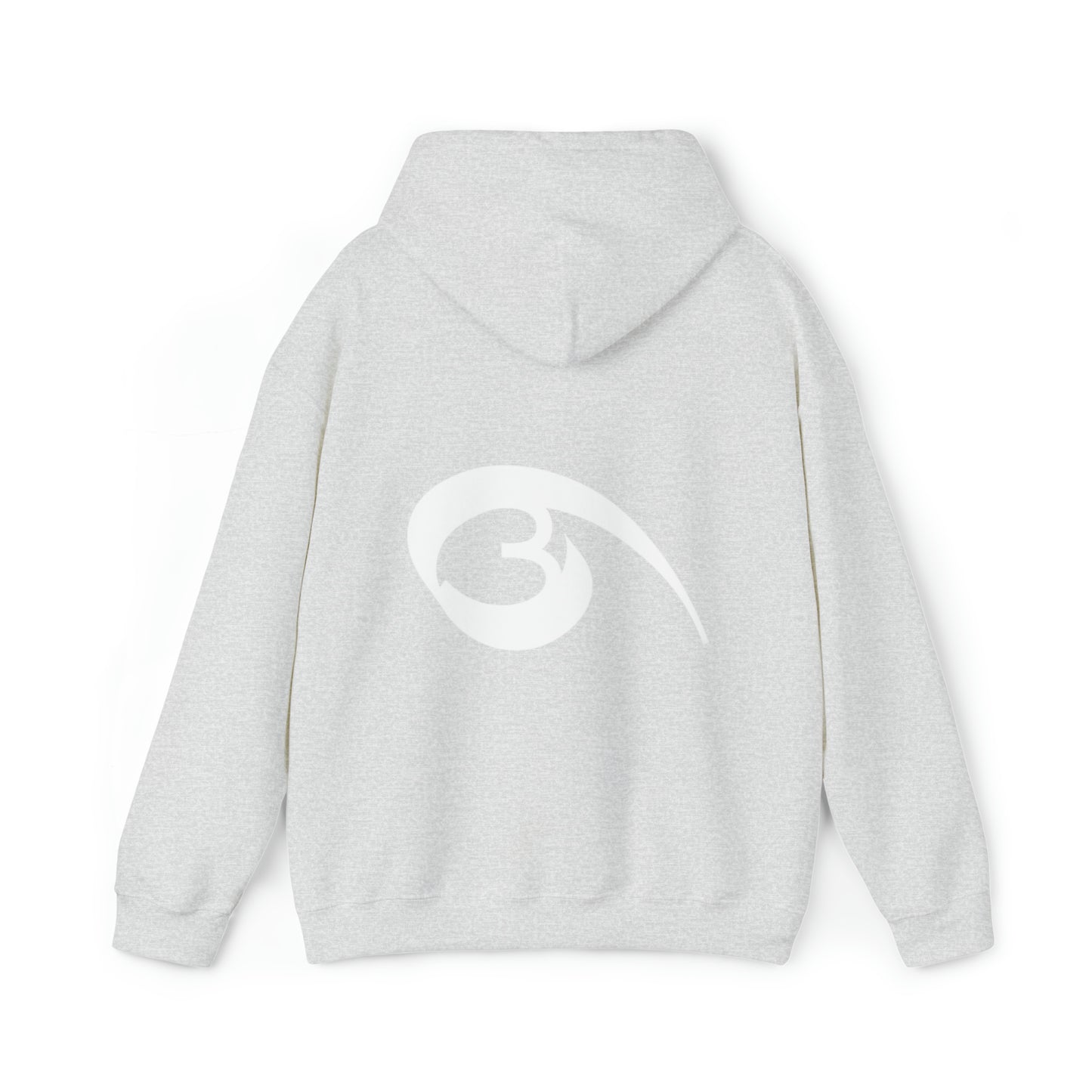 04 - RYSE9 Heavy Blend™ Hooded Sweatshirt