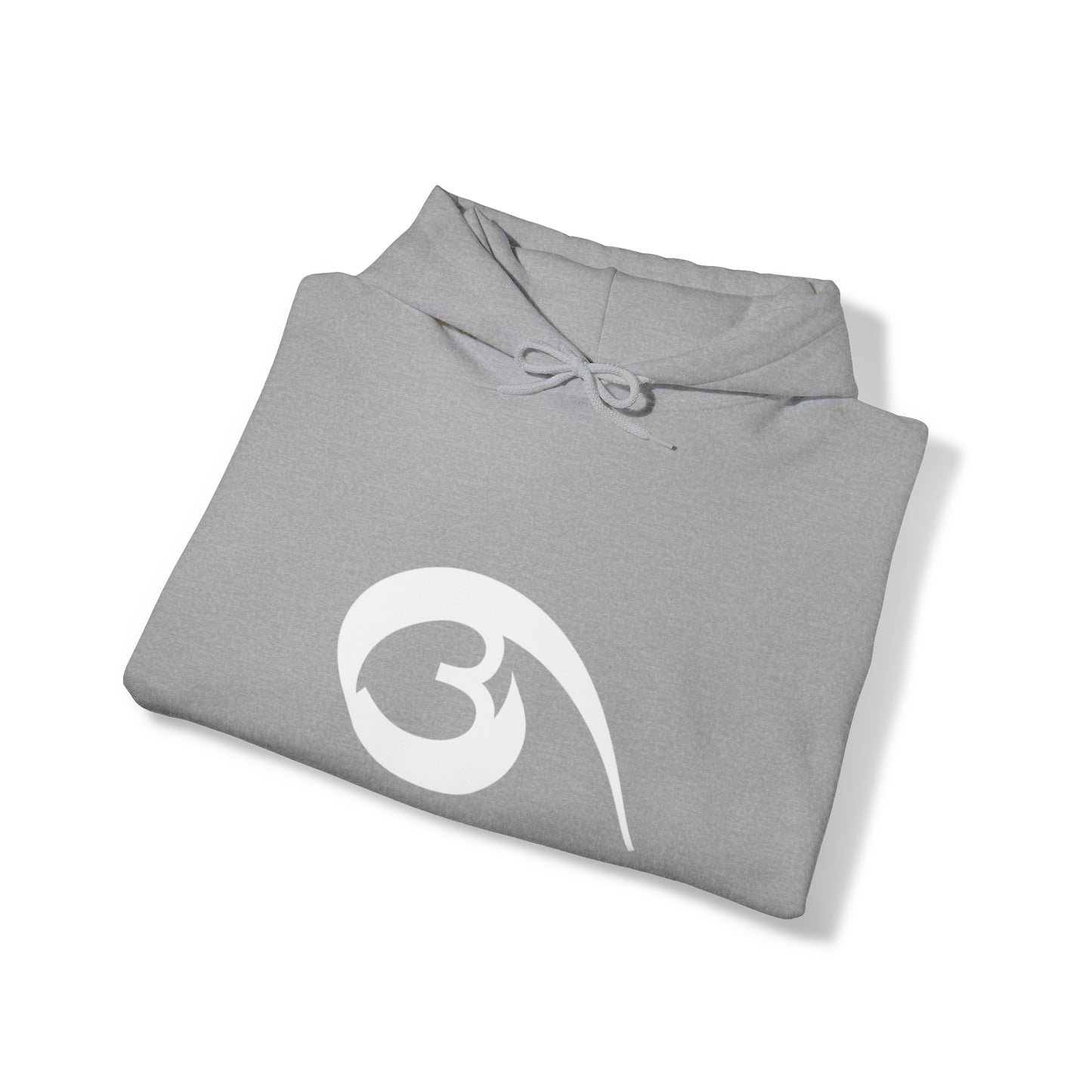 04 - RYSE9 Heavy Blend™ Hooded Sweatshirt